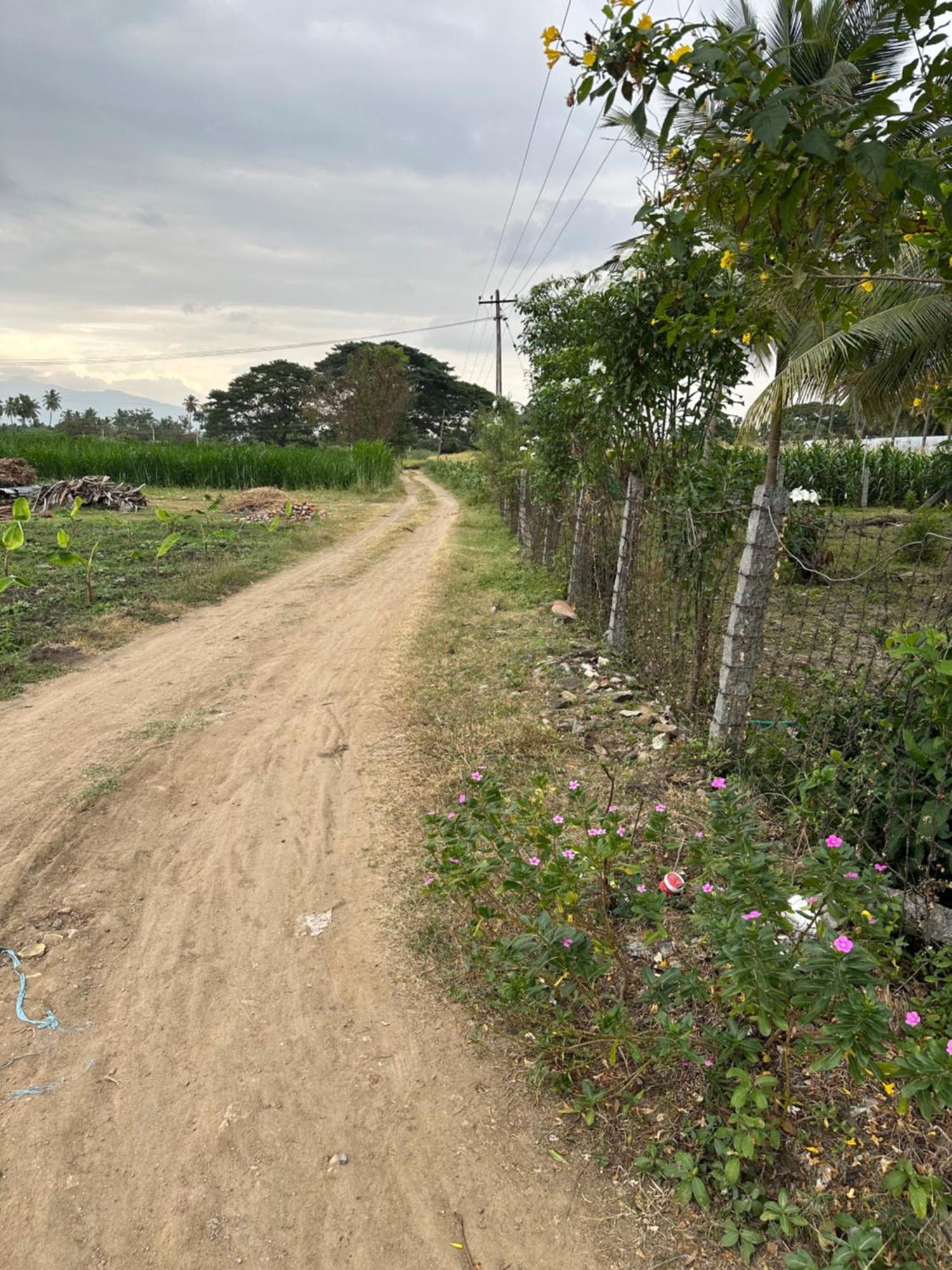 Sakthi Garden Home Stay Erode Bagian luar foto