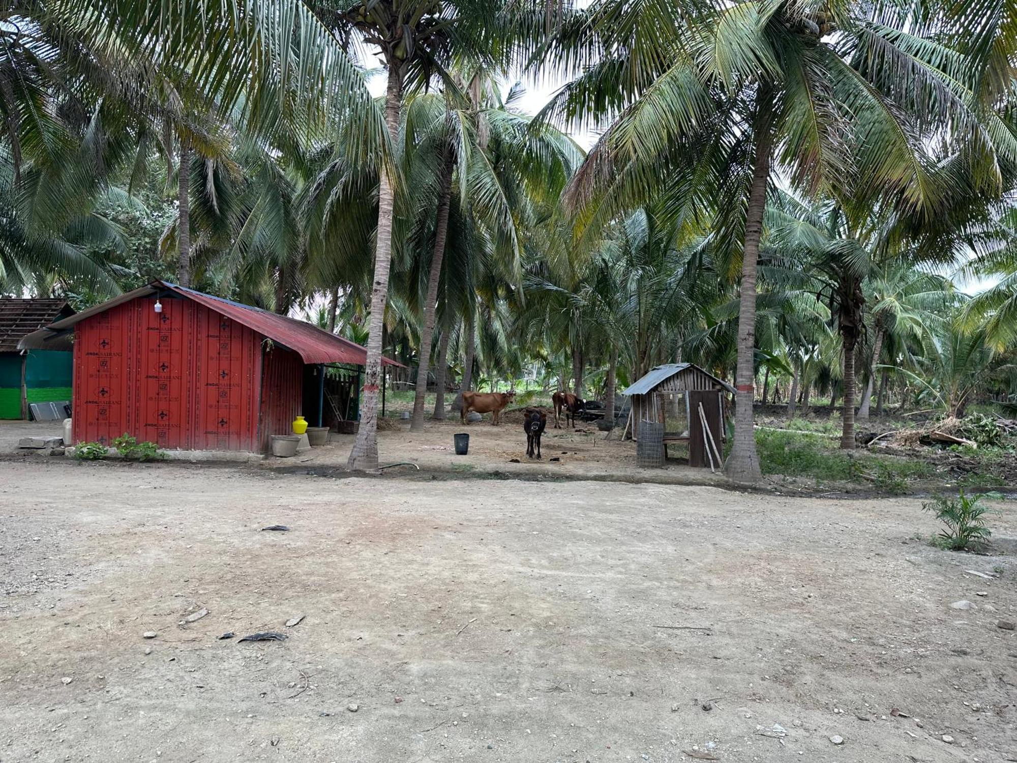 Sakthi Garden Home Stay Erode Bagian luar foto